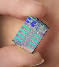 Cell chip