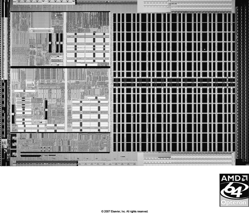 AMD Opteron 64.