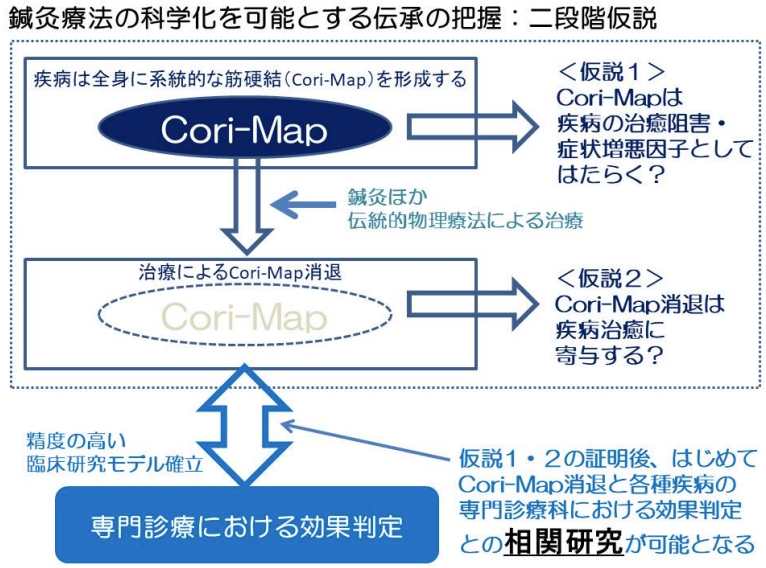 鍼灸療法の科学化を可能とする二段階仮説の図。疾病が形成する筋硬結（Cori-Map）と、その消退が疾病治癒に寄与するかを検証する