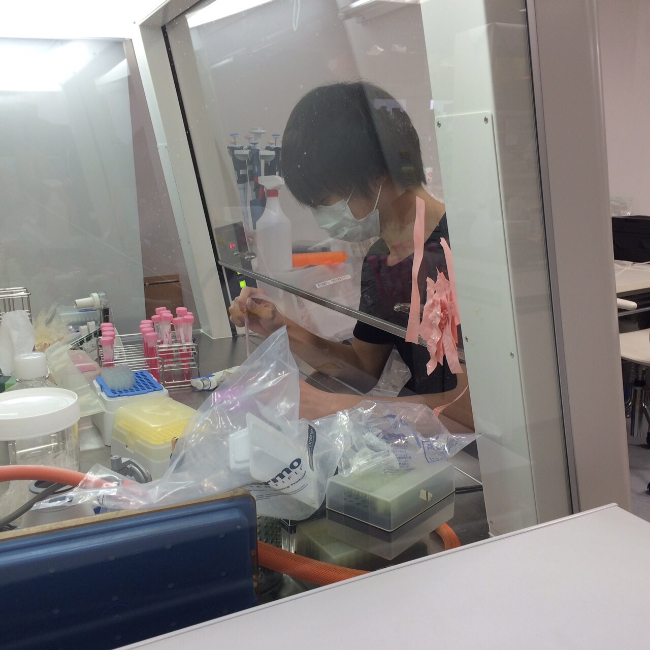 クリーンベンチで作業する学生