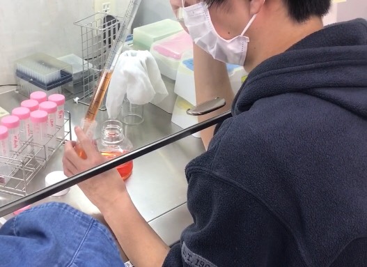 ドラフト内で試薬を扱う学生