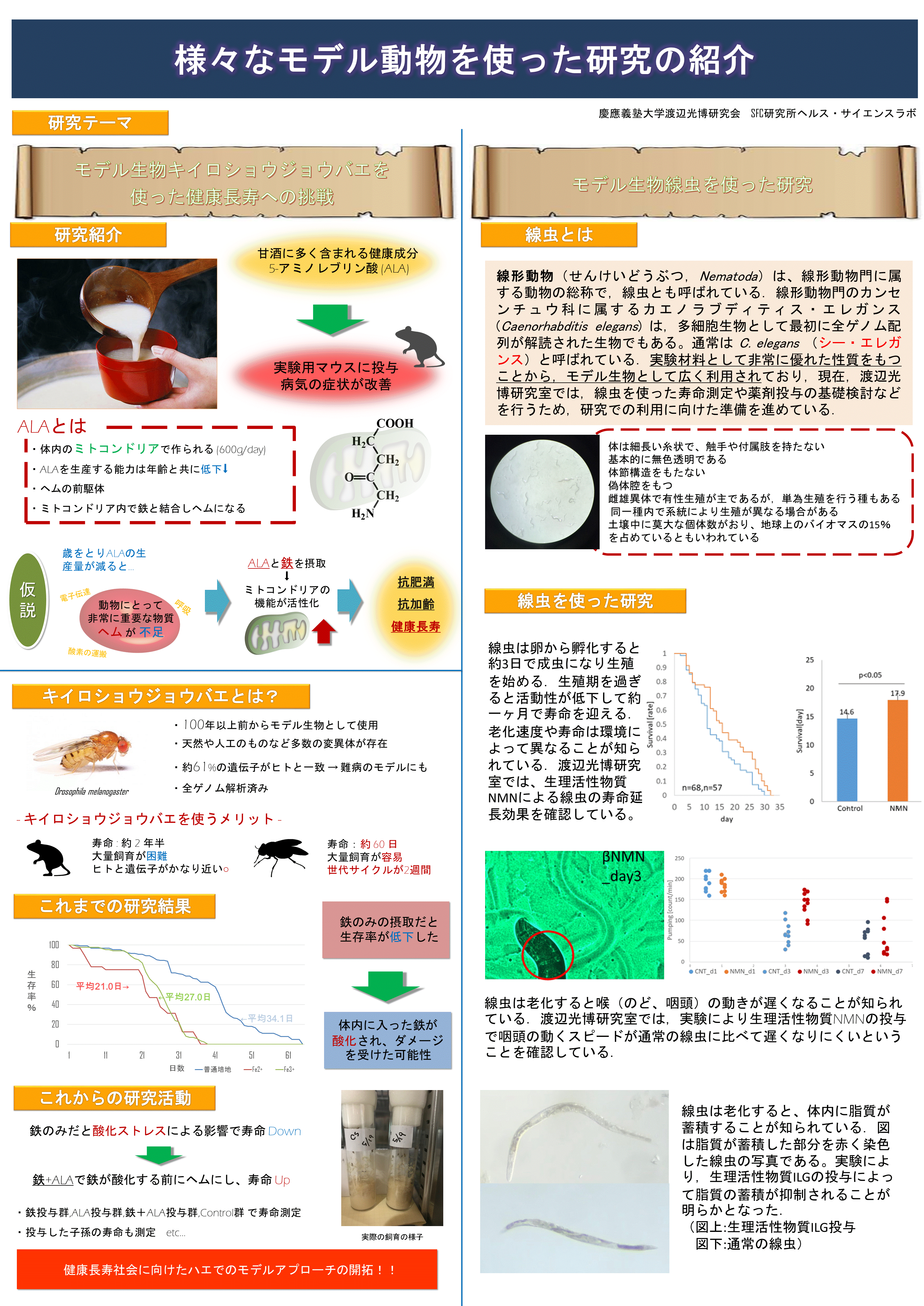 様々なモデル生物を使った実験