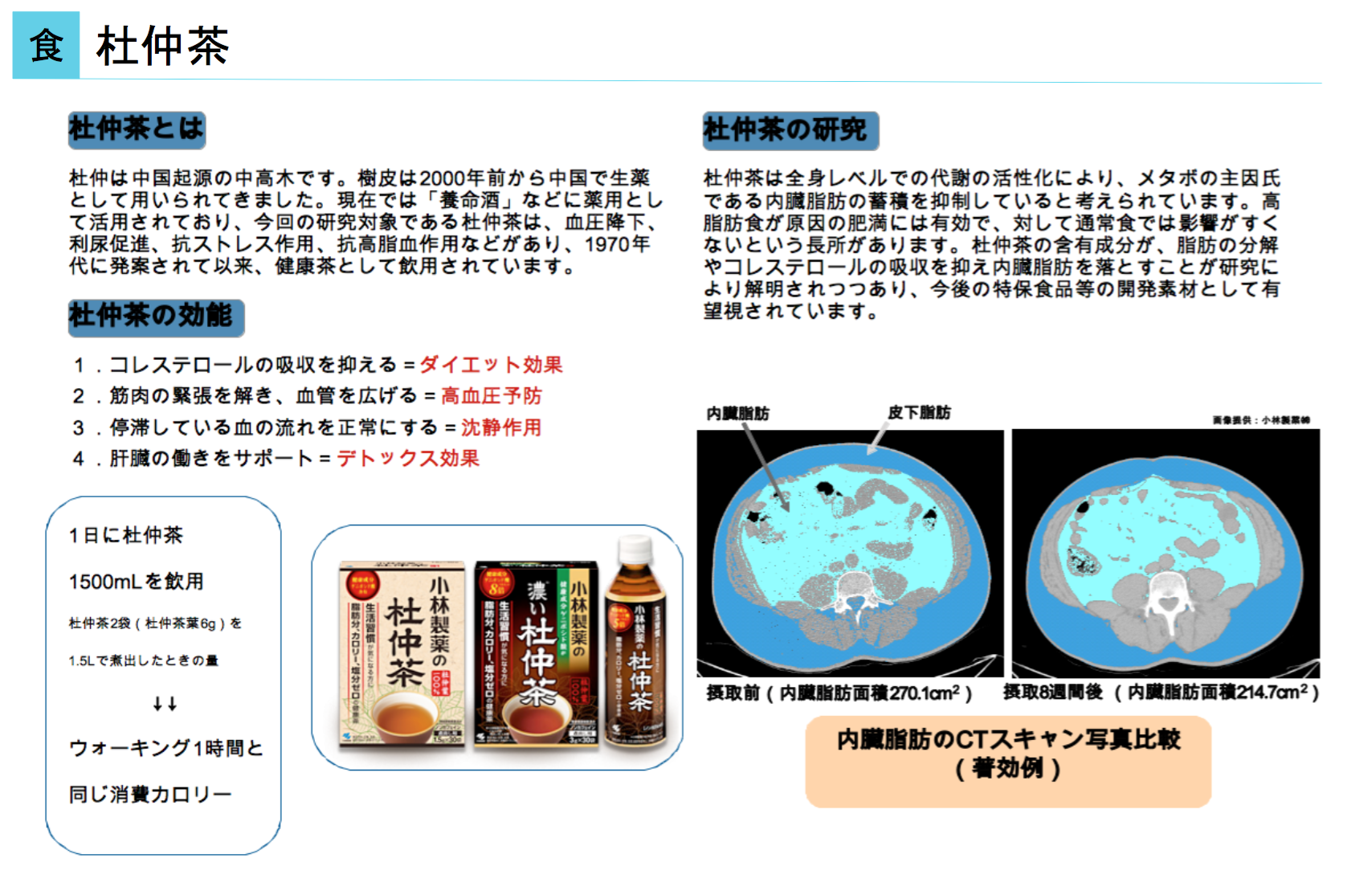 杜仲茶とは・杜仲茶の効能・内臓脂肪のCTスキャン写真比較を示す研究図